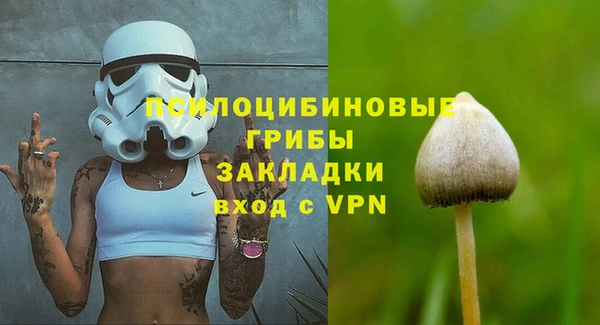 спиды Алексин