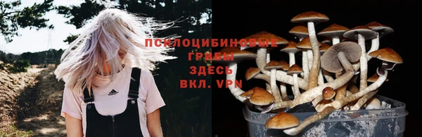 кристаллы Алексеевка