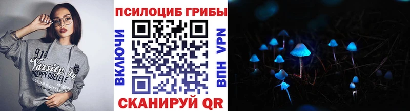 Псилоцибиновые грибы Psilocybe  Динская 